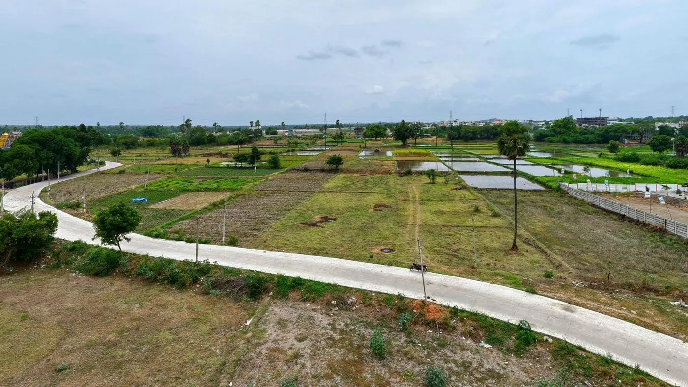 Green fields and water bodies bordering the layout